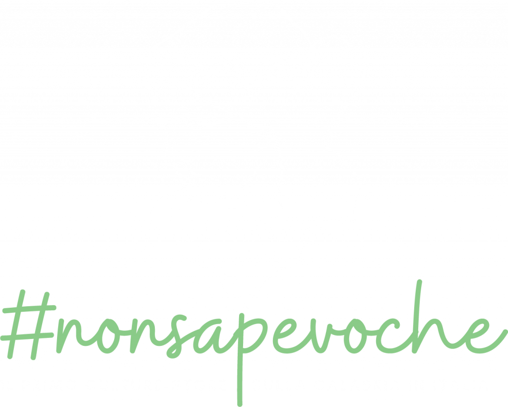 Nonsapevoche logo